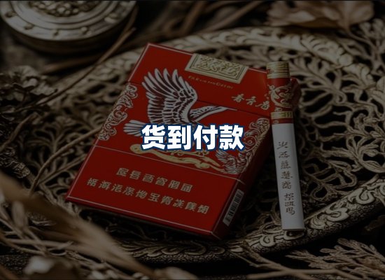 专业团队办公环境